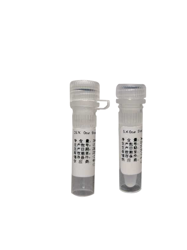 One Step RT PCR Kit（2019年上市）